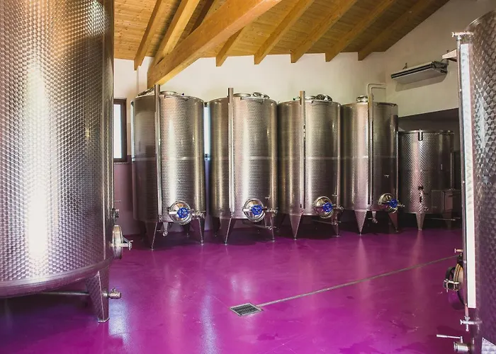 Azienda Agrituristica Costa Dei Tigli Farma Costigliole d'Asti