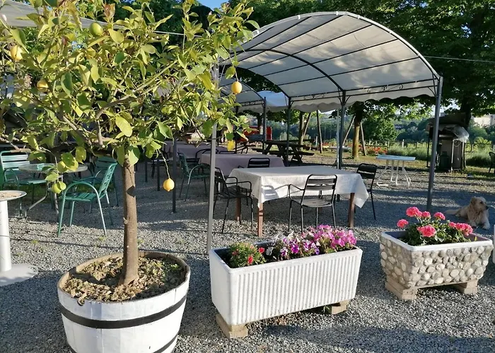 Azienda Agrituristica Costa Dei Tigli Costigliole d'Asti