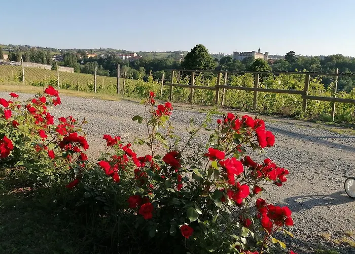 Farma Azienda Agrituristica Costa Dei Tigli Costigliole d'Asti
