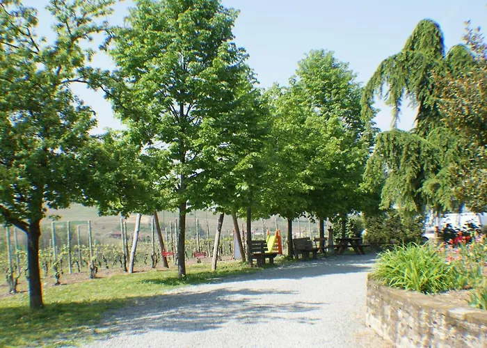 Azienda Agrituristica Costa Dei Tigli *