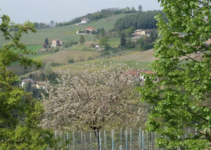 Azienda Agrituristica Costa Dei Tigli Farma Costigliole d'Asti